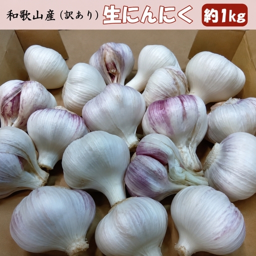 和歌山県産 生にんにく 約1kg ご家庭用 / 和歌山 ニンニク ※2027年4月下旬〜5月中旬頃に順次発送 [tec403-c-1]