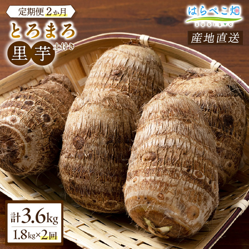 [定期便2ヶ月]里芋『とろまろ』土付き 1.8kg