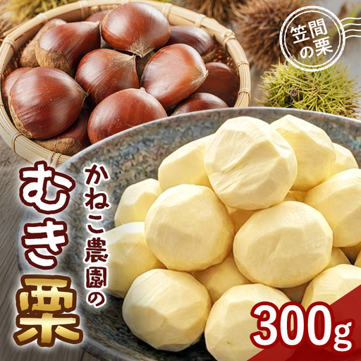 笠間の栗 かねこ農園のむき栗(300g×1パック) JO-020