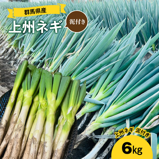 [先行予約]群馬県産 上州ネギ 泥付き6kg