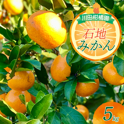 [先行受付][2026年12月上旬〜発送]川田柑橘園 呉市大長産「いしじみかん」5kg ku055-014-26