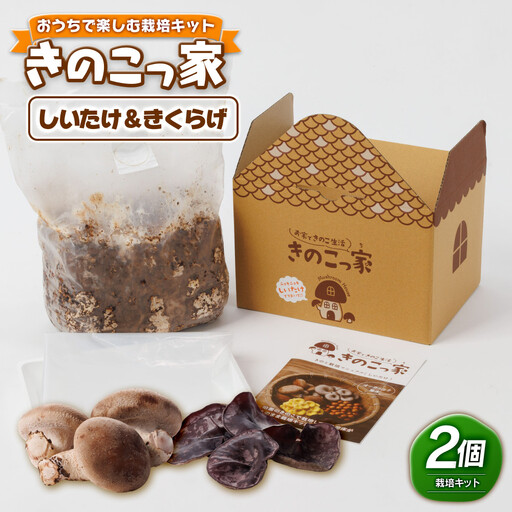 おうちで楽しむ栽培キット「きのこっ家」2種セット しいたけ×きくらげ [鳥取県 境港市]