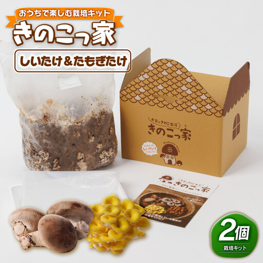 おうちで楽しむ栽培キット「きのこっ家」2種セット　しいたけ×たもぎたけ　 【鳥取県 境港市】