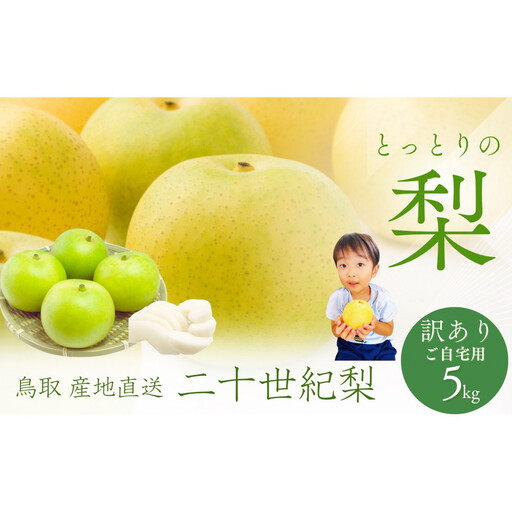 鳥取県産 梨 訳あり ご自宅用 二十世紀梨 5kg 【鳥取県 境港市】