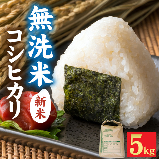 【先行予約】【みやま米】令和8年産  福井市産コシヒカリ5kg/ 天然の山水だけで育てたお米【2026年10月下旬以降順次発送予定】[A-168009] / 無洗米 色彩選別 