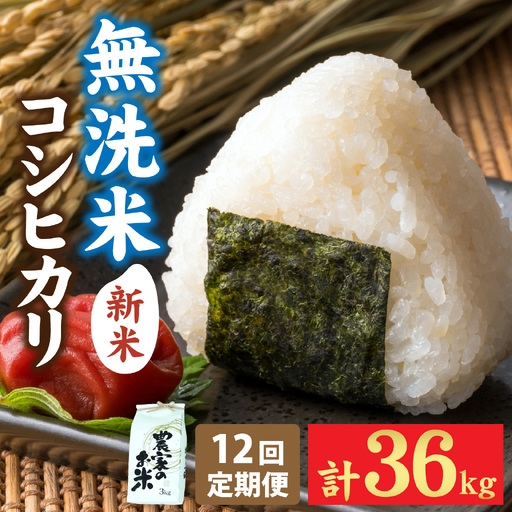 [先行予約][定期便12ヶ月連続お届け][みやま米]令和8年産 福井市産コシヒカリ3kg/天然の山水だけで育てたお米[2026年10月下旬以降順次発送予定][K-168011] / 3kg 米こしひかり 無洗米 色彩選別 12ヵ月定期便