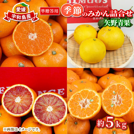 [みかん]準贈答用みかん詰め合わせ5kg矢野青果
