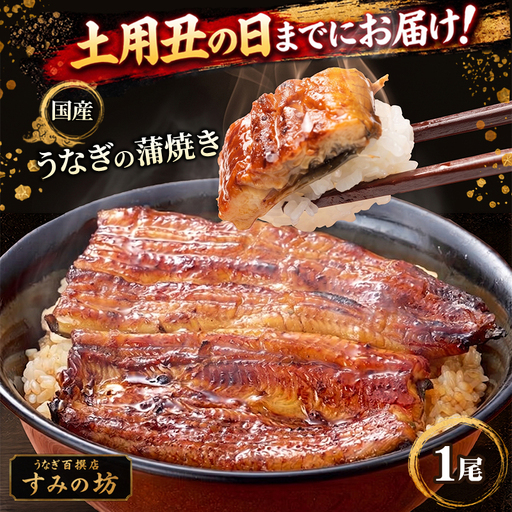 [土用丑の日までにお届け] 三島うなぎ蒲焼き 1尾