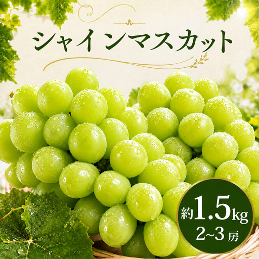 シャインマスカット 1.5kg シャインマスカット