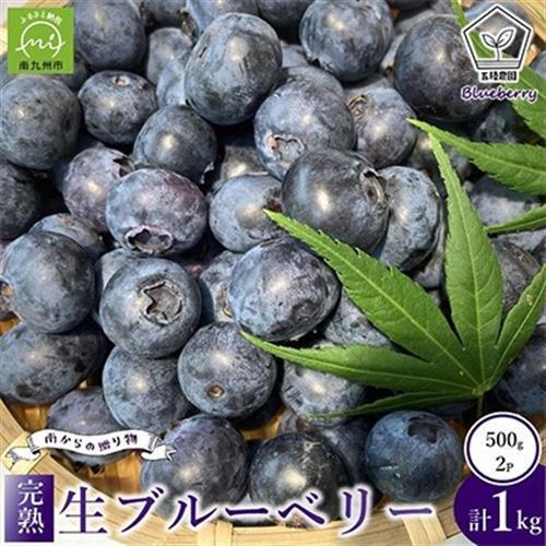 完熟ブルーベリー　500g×2パックセット【配送不可地域：離島】【1747691】
