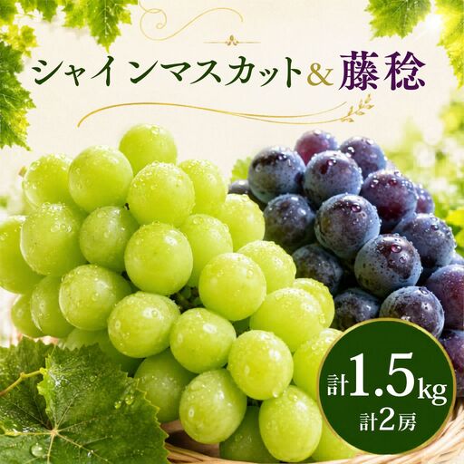 食べ比べ シャインマスカット1房 藤稔1房 約1.5kg シャインマスカット ぶどう