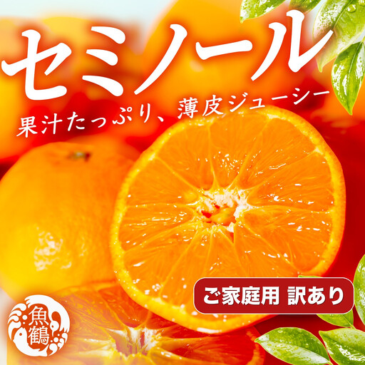 ［先行予約］［ご家庭用訳あり］ジューシー柑橘 セミノールオレンジ 5kg［UT150］