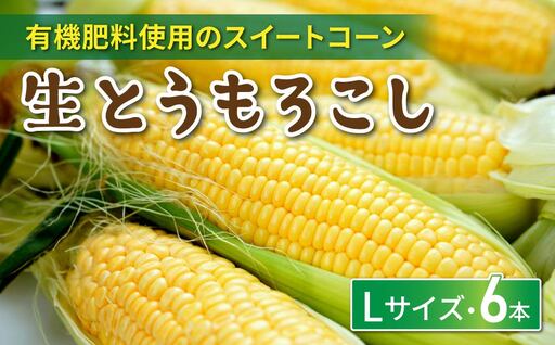 生とうもろこし Lサイズ 6本 有機肥料使用のスイートコーン! 長野県東御市産 ※7月上旬から順次発送予定※発送日指定不可