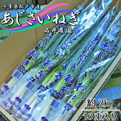 ES001 石井さん家のあじさいねぎ 約2kg