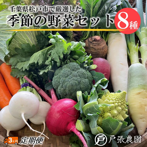 [毎月定期便3回]戸張農園の厳選おまかせ野菜セット