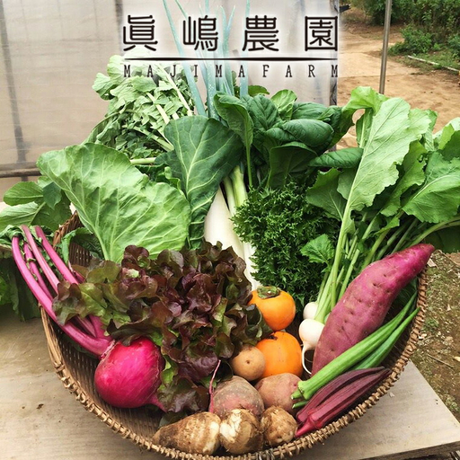 季節のおまかせ野菜セット