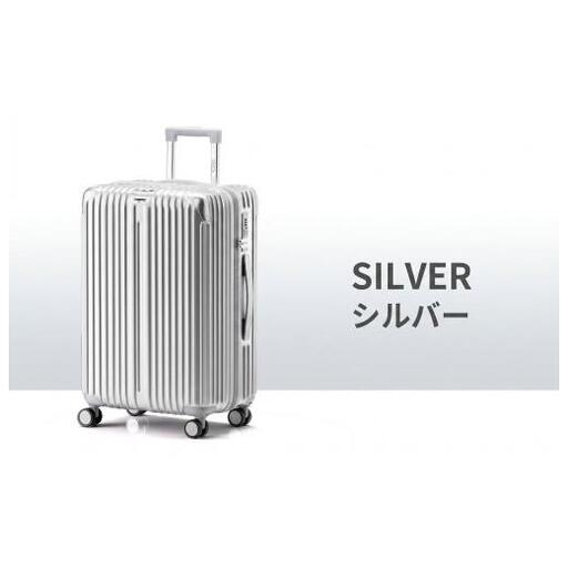 スーツケース Lサイズ シルバー キャリーバッグ  キャリーケース スーツケース 拡張機能付き スーツケース キャスター 着脱 キャスター交換可能 ダブルキャスター 360度回転 TSAロック 2重コイルファスナー