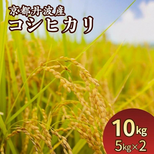 米 10kg(5kg×2袋)京都丹波産 コシヒカリ 白米