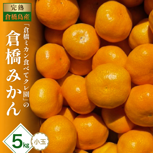 【先行受付】【2026年11月初旬～発送】倉橋ミカン食べてクレ園 倉橋みかん 小玉 約5kg ku154-004-26
