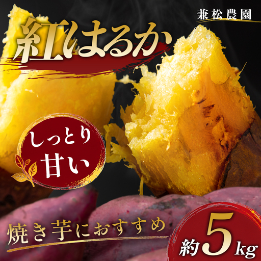 さつまいも 熟成 紅はるか 約5kg 国産 焼き芋 焼芋 やきいも しっとり 蜜芋 芋 おいも サツマイモ さつま芋 べにはるか スイーツ おやつ 産地直送 栽培期間中農薬不使用 高知県 大月町産