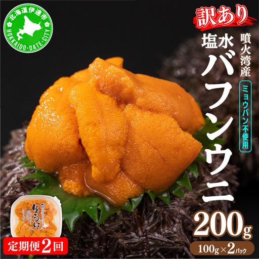 【ふるなびWEEK対象】訳あり バフンウニ 100g 2パック 計200g×定期便2回《アフター保証付き》【55250812-a002_FU】