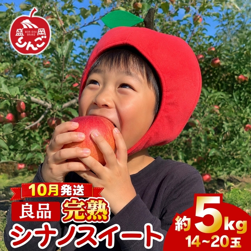 期間限定 贈答用 シナノスイート 5kg(14~20玉)＜10月発送＞ りんご シナノスイート 田村ふぁーむtamura012