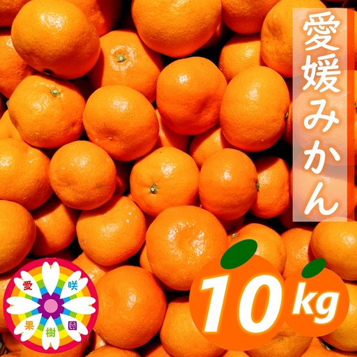 【先行受付】「 愛媛 みかん 」約10kg《 愛咲果樹園 》【71-70】YWTS043