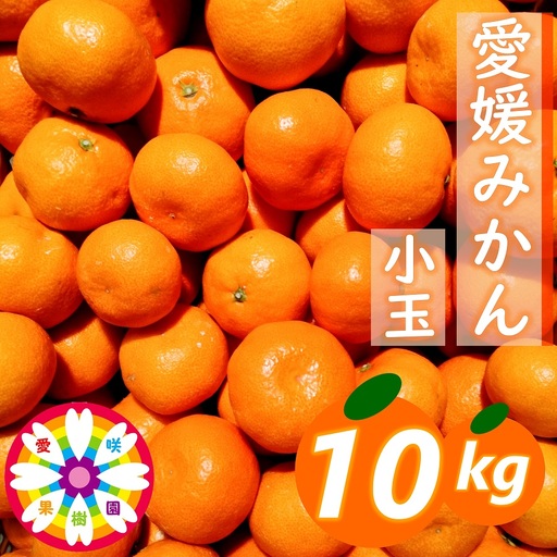【先行受付】「 愛媛 みかん 」 小玉 約10kg《 愛咲果樹園 》【71-69】YWTS044