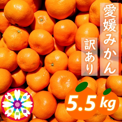 【先行受付】「 愛媛 みかん 」 訳あり 約5.5kg《 愛咲果樹園 》【71-68】YWTS045