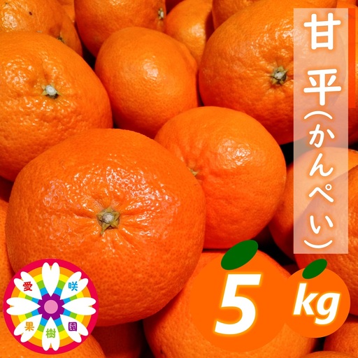 【先行受付】愛咲果樹園「甘平」約5kg【71-64】YWTS049
