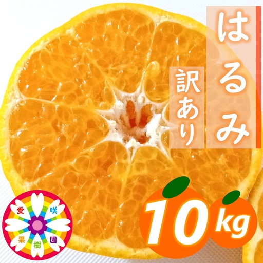 【先行受付】愛咲果樹園「はるみ」訳あり 約10kg【71-51】YWTS057