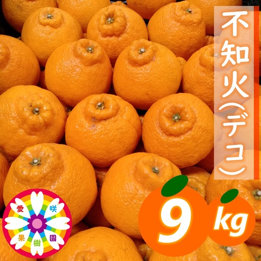 【先行受付】愛咲果樹園「不知火 ( デコ )」約9kg【71-59】YWTS058