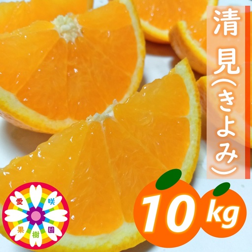 【先行受付】愛咲果樹園「清見」約10kg【71-57】YWTS061