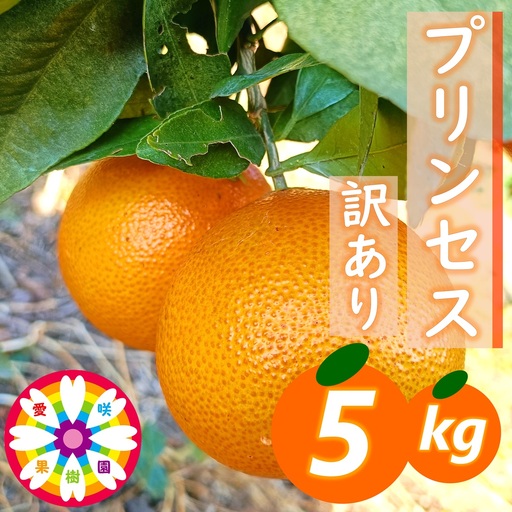 【先行受付】愛咲果樹園「プリンセス(愛果48号)」 紅プリンセスと同品種 訳あり 約5kg【71-49】YWTS063