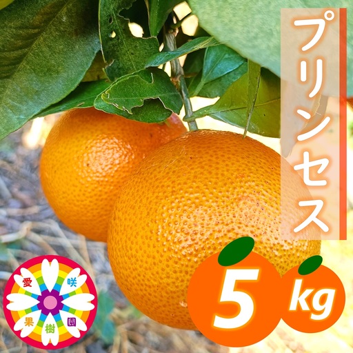 【先行受付】愛咲果樹園「プリンセス(愛果48号)」 紅プリンセスと同品種 約5kg【71-46】YWTS066