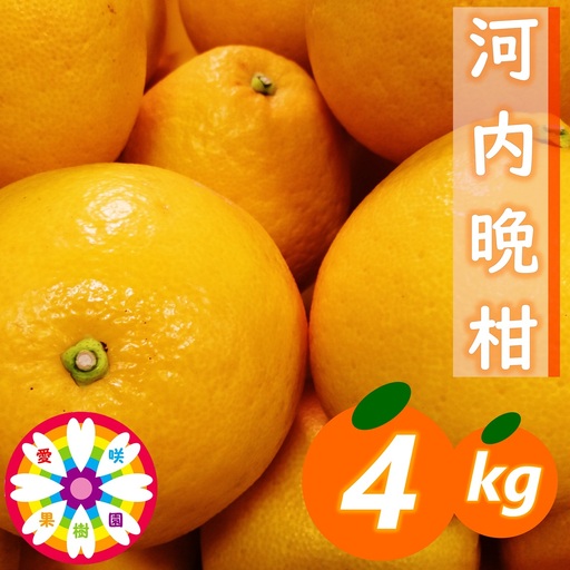 [先行受付]愛咲果樹園「河内晩柑」約4kg[71-44]Y