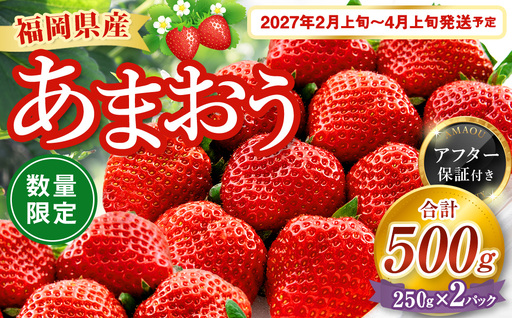 【数量限定】 福岡県産 あまおう 計500g 250g×2パック 【2027年2月上旬～4月上旬発送予定】 苺 イチゴ いちご 果物 フルーツ 果実 国産 アフター保証 アフター対応 福岡県 遠賀町 冷蔵