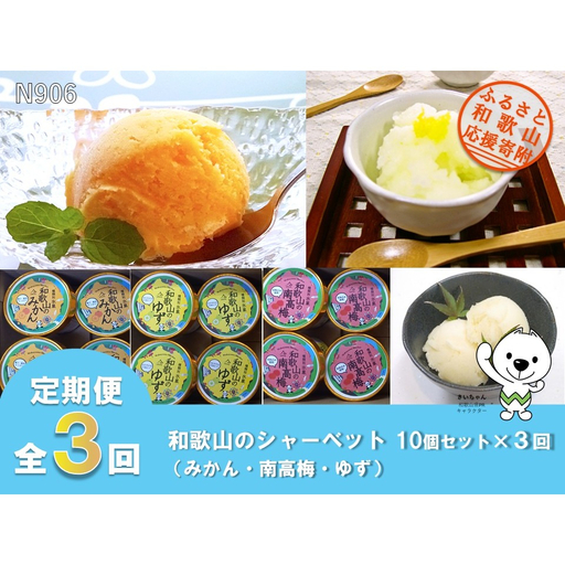 [全3回定期便]和歌山のシャーベット10個セット×全3回(みかん・南高梅・ゆず)有限会社しょう