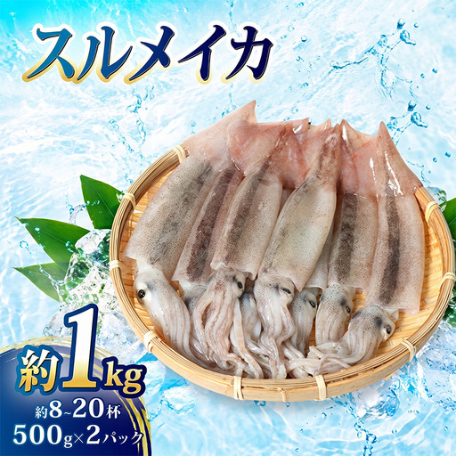 ( 冷凍 ) スルメイカ 1kg いか 魚介 海鮮 刺身 烏賊 産地直送 真空パック 三重 南伊勢町 伊勢 志摩 外湾漁業協同組合