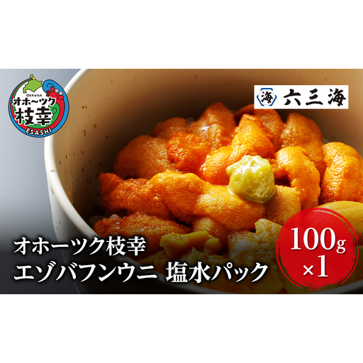 うに エゾバフンウニ 塩水パック ミョウバン不使用 オホーツク枝幸 うに[100g]