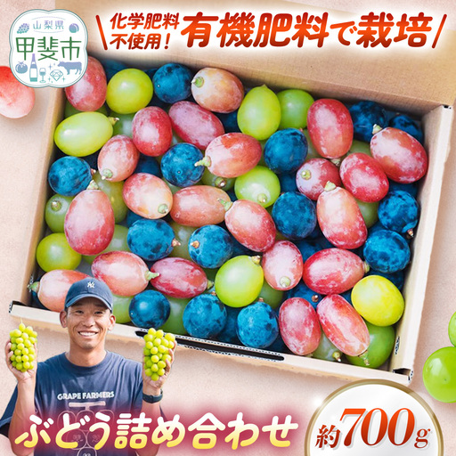旬の彩り 粒ぶどう 詰め合わせ(約700g) 山梨県産ぶどう ぶどう