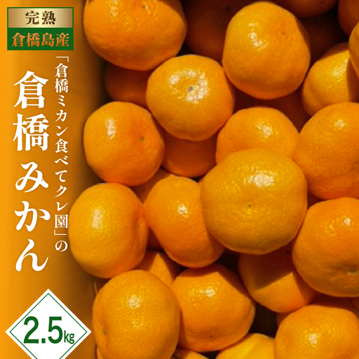 [先行受付][2026年11月初旬〜発送]倉橋ミカン食べてクレ園 倉橋みかん 約2.5kg