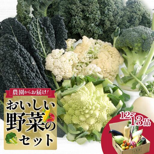 西洋野菜 一般野菜 旬野菜セット 12〜13品 | やさい