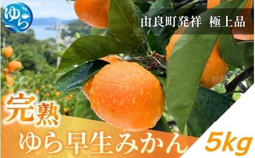 完熟ゆら早生みかん 5kg / 和歌山県 柑橘 みかん 甘い 蜜柑 フルーツ 果物 くだもの 食品 人気  晩柑 おすすめ 送料無料 産地直送 由良町 ※ 2026年11月上旬頃から11月中旬頃に順次発送予定【kzmn004-kan-5】