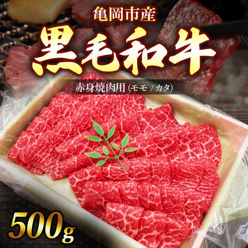 亀岡市産 黒毛和牛 赤身 焼肉用 モモ/カタ 500g 牛肉 肉 すき焼き スライス 冷凍 ギフト 人気