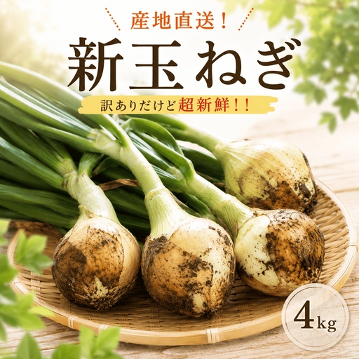 令和9年3月下旬出荷 訳あり新たまねぎ4kg[先行受付]