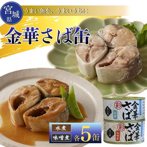 【木の屋】さば缶 缶詰 食べ比べセット 10缶 (2種 各5缶) 水煮 味噌煮 鯖 鯖 サバ 金華さば 金華 国産 常温 おかず おつまみ 長期保存 非常食 保存食 便利 常温保存