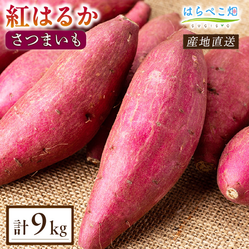 【ねっとり甘い蜜芋】さつまいも 紅はるか（4.5kg×2箱）合計9kg・H103
