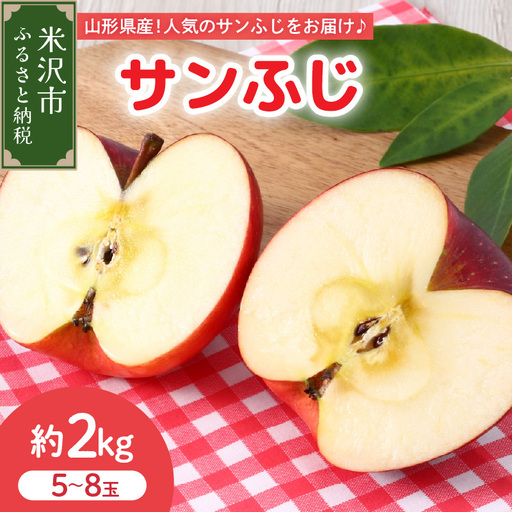 [先行予約] 令和8年産 りんご サンふじ 秀品 約2kg りんご