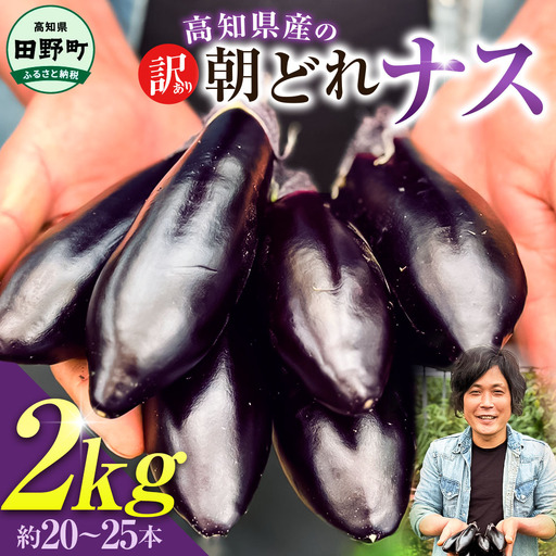 先行予約 訳あり高知県産の朝どれナス 2kg